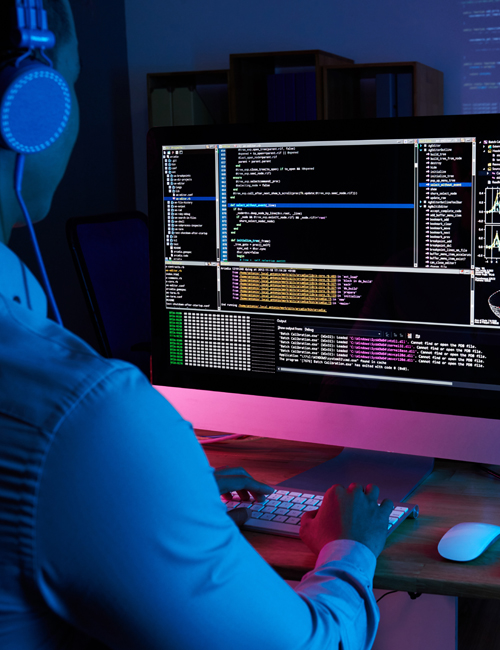 Custom Software Development Agency in Delhi