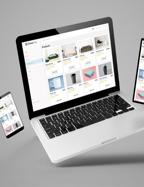 Best Customize E-Commerce Website in Delhi