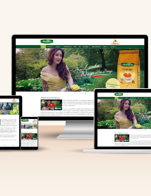 web design company in india